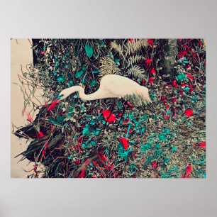 Poster Great Egret Red
