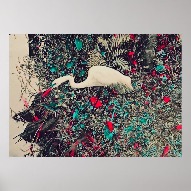 Poster Great Egret Red (Frente)
