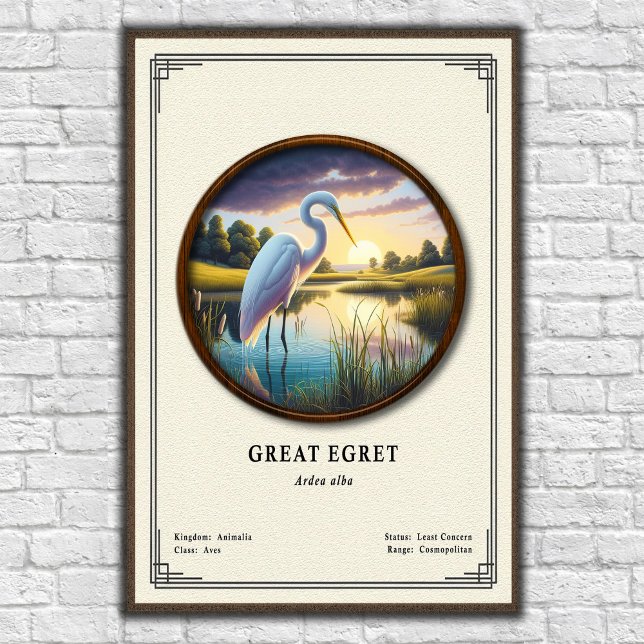 Poster Great Egret Zoology Series (Criador carregado)