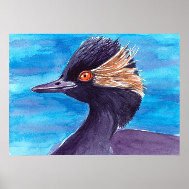 Poster Grebe (Frente)