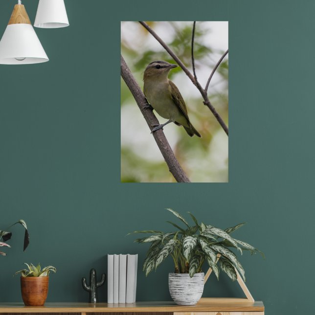 Poster Green Bird, Red Eyed Vireo, Fotografia Canadiana (Sala de Estar 1)