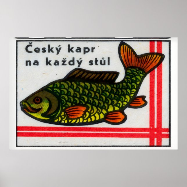 Poster Green Carp Fish - Matchbox Print - Czech Wall Art (Frente)