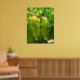 Poster Green Grapes on the Vine (Living Room 2)