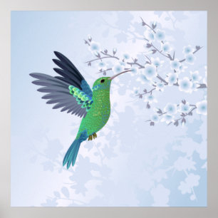 Poster Green Hummingbird With Blue Cherry Blossom