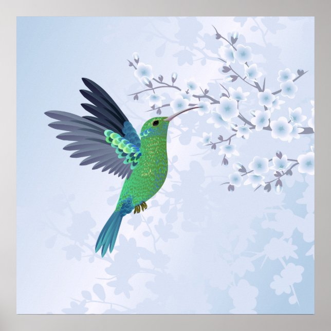Poster Green Hummingbird With Blue Cherry Blossom (Frente)