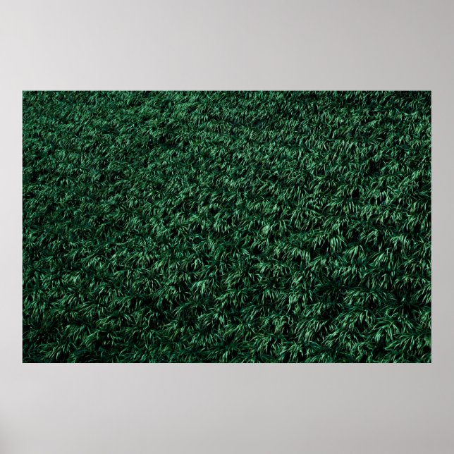 Poster Green leaves (Frente)