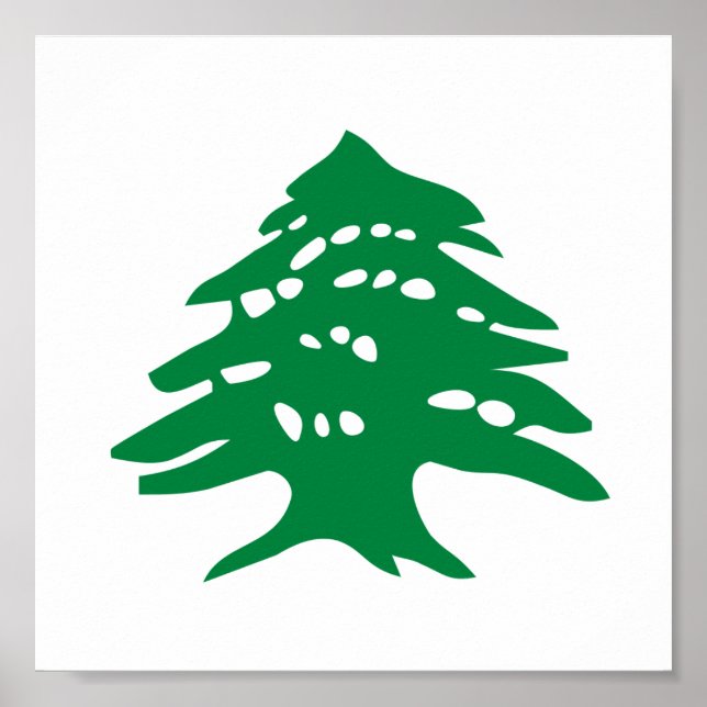 Poster Green Lebanon Cedar Tree (Frente)