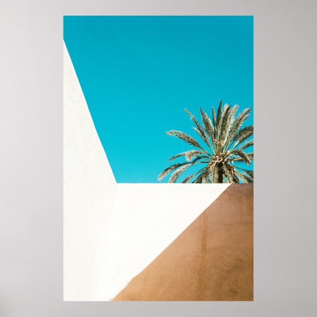 Poster Green palm tree under blue sky in the morning (Frente)