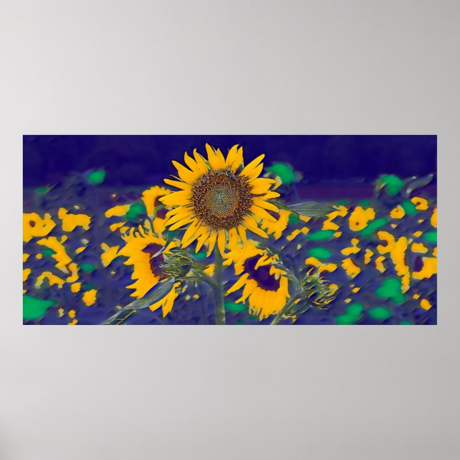 Poster Green sunflower (Frente)