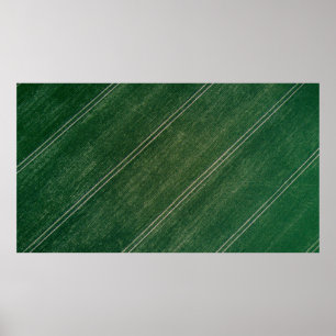 Poster Green surface