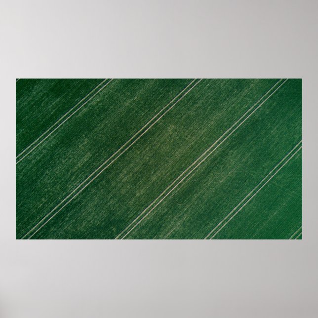 Poster Green surface (Frente)