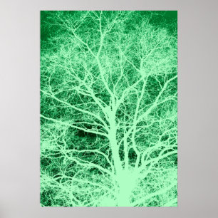 Poster Green tree silhouette