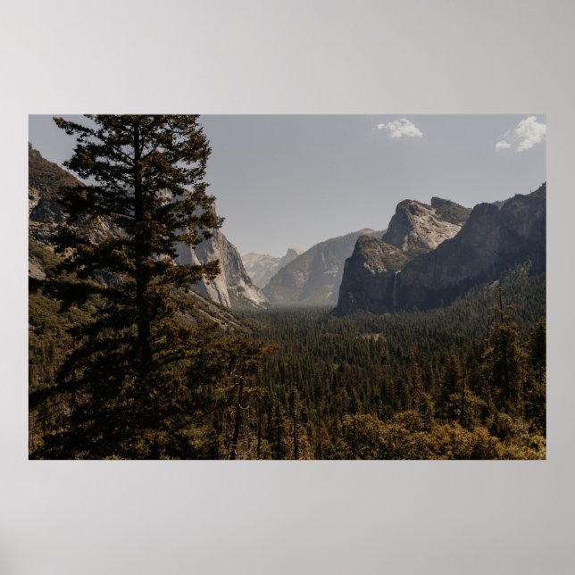 POSTER GREEN TREES NEAR MOUNTAIN DURING DAYTIME (Frente)
