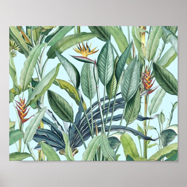 Poster Green Tropical Jungle Banana Tree Strelitzia (Frente)