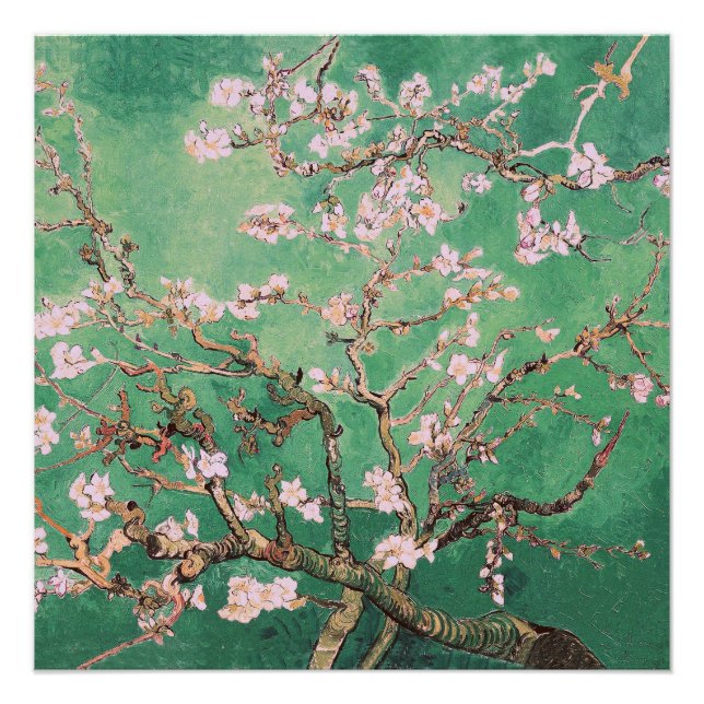 Pôster Green Van Gogh Almond Blossoms (Frente)
