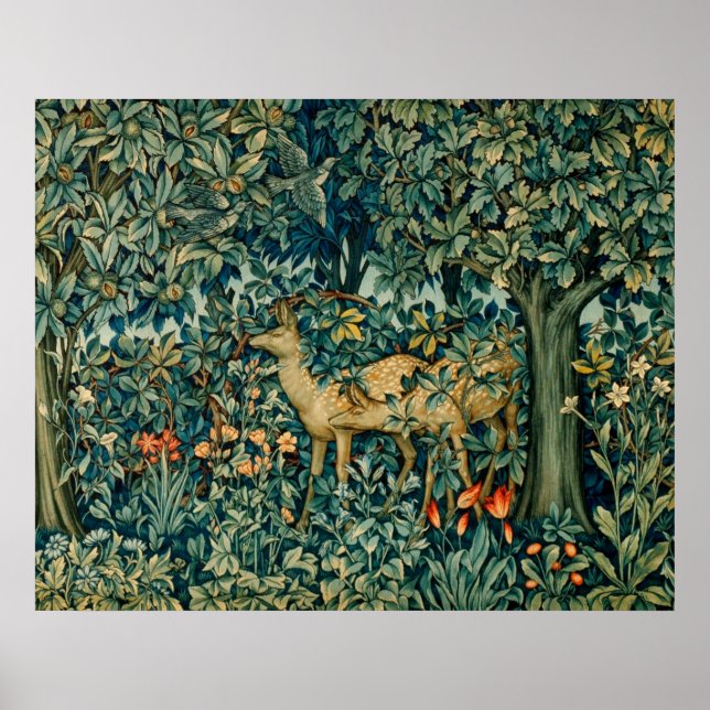 POSTER GREENERAÇÃO, ANIMAIS FLORESTAIS, DOIS, AVES FLORES (Frente)