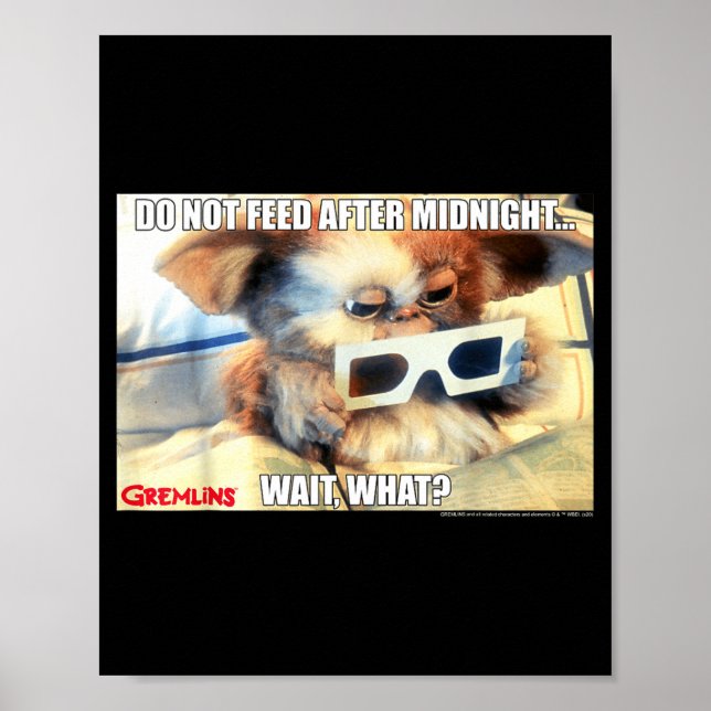 Poster Gremlins Do Not Feed After Midnight Wait What Meme (Frente)