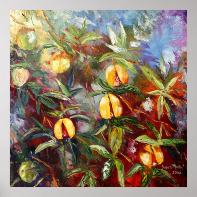 Pôster Grenada Nutmeg (Frente)