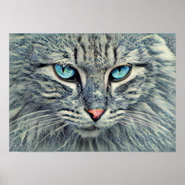 Poster Grey Tabby Cat-Blue Eyes