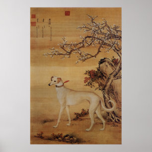Poster Greyhound Branco Vintage sob Flores