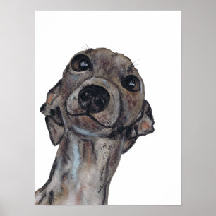 Pôster GREYHOUND g909