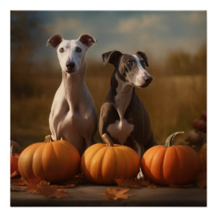 Pôster Greyhound Puppy Autumn Delight Pumpkin