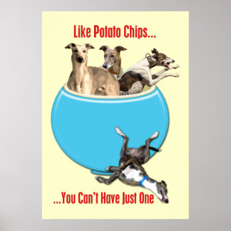 Poster Greyhounds Like Potato Chips