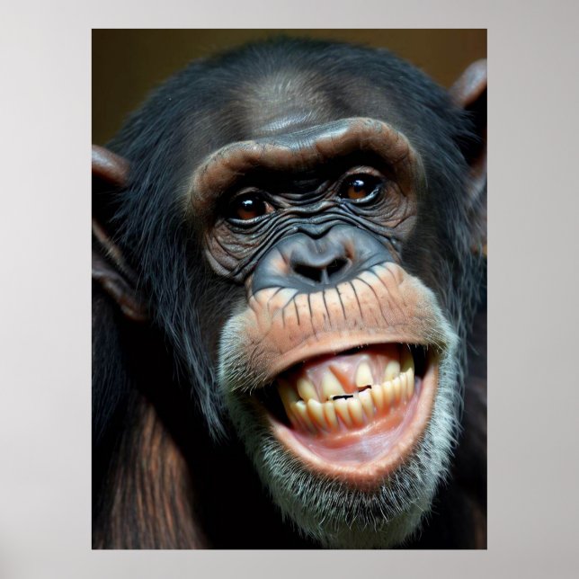 Poster Grinning Chimpanzé (Frente)