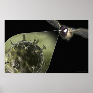 Poster Gripe aviária que sai do pássaro