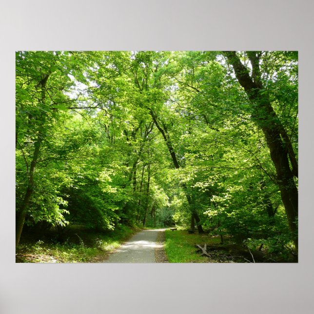 Poster Grist Mill Trail I (Frente)