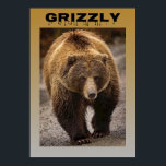 Poster Grizzly<br><div class="desc">Vejam esta legal imagem de um ursinho. Esse mestre da floresta parecia excelente em um quarto ou parede de toca. Você pode comprar este poster de urso pardo na minha impressão a pedido da loja. Tenha um dia maravilhoso, e como sempre, relaxe e aproveite.</div>