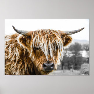 Poster Groland Cow Coo