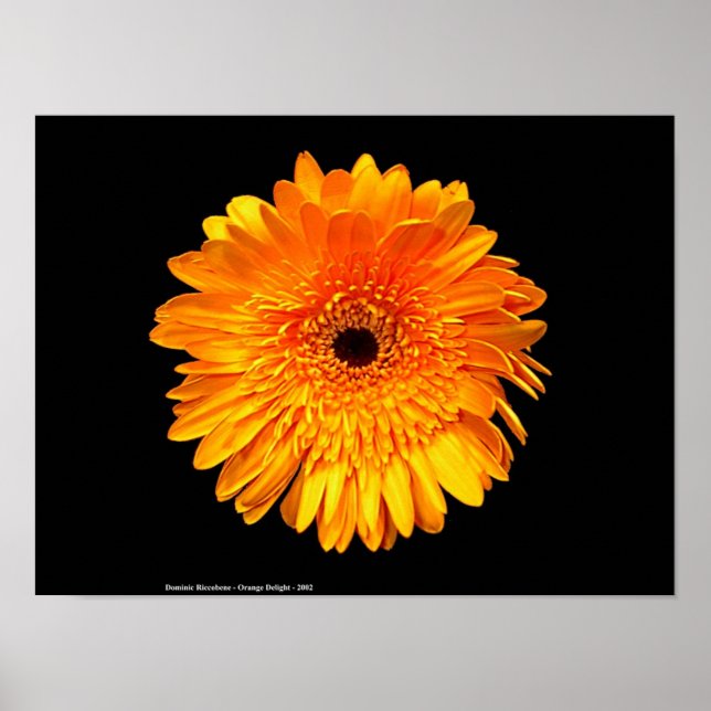 Poster Groovy (Frente)