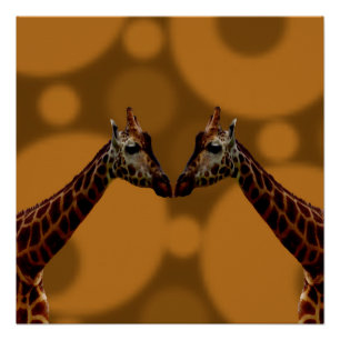 Pôster Groovy Girafes A Go,
