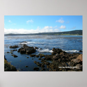 Poster Grove do Pacífico nas Rochas