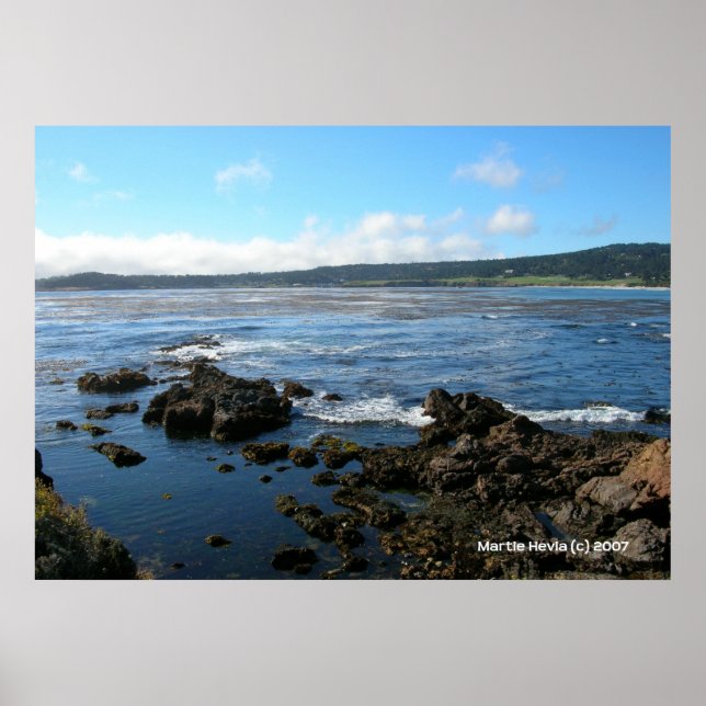 Poster Grove do Pacífico nas Rochas (Frente)