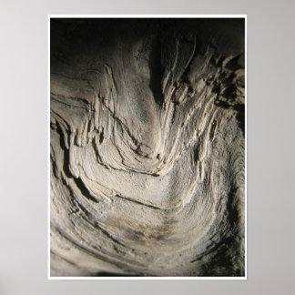 Poster Grove dos Patriarcas