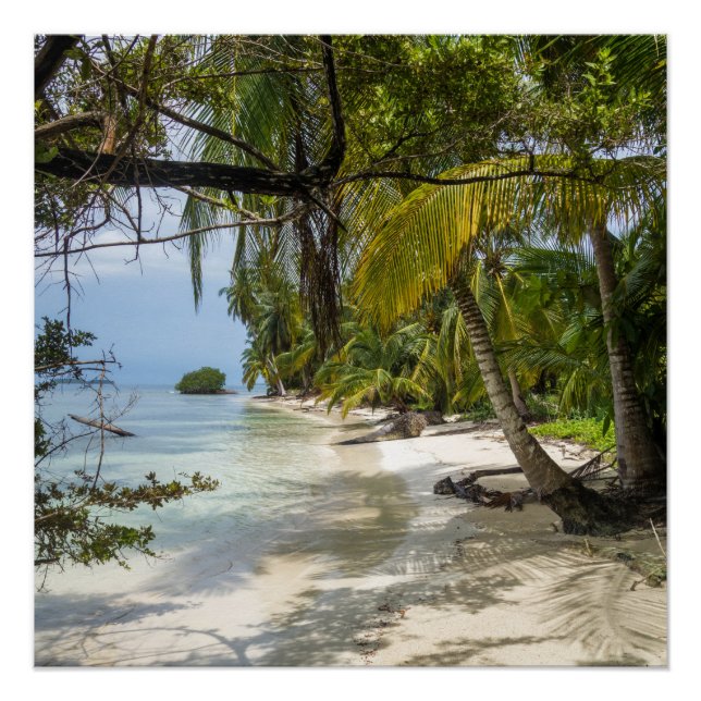 Pôster Grove tropical (Frente)