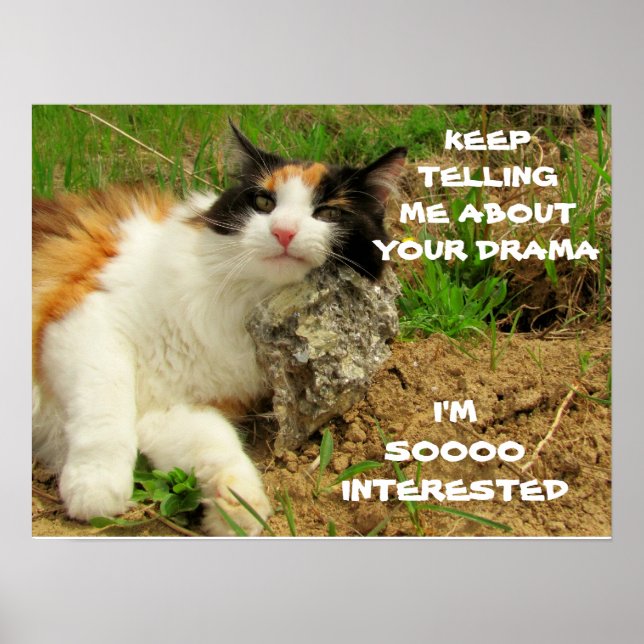 Poster Grumpy Calico Cat Drama Sarcasm (Frente)