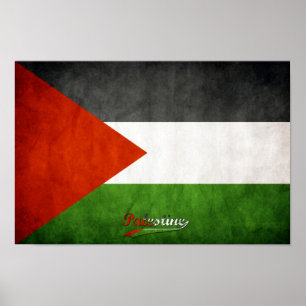 Poster Grunge de Palestina