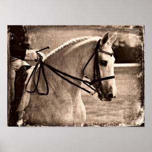 Pôster Grunge do cavalo do adestramento