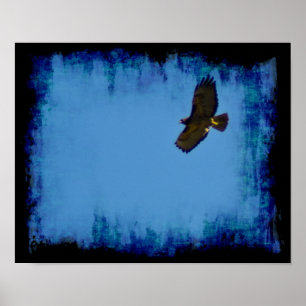 Poster Grunge Hawk em Voo