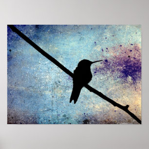 Pôster Grunge Hummingbird