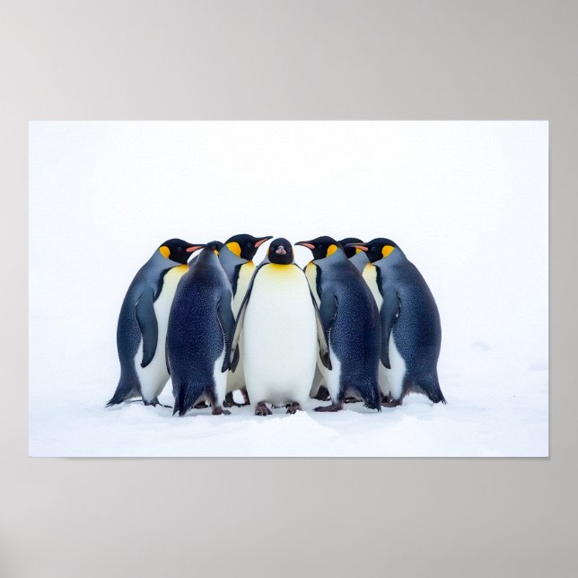Poster Grupo de Pinguins (Frente)