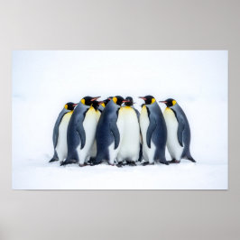 Poster Grupo de Pinguins
