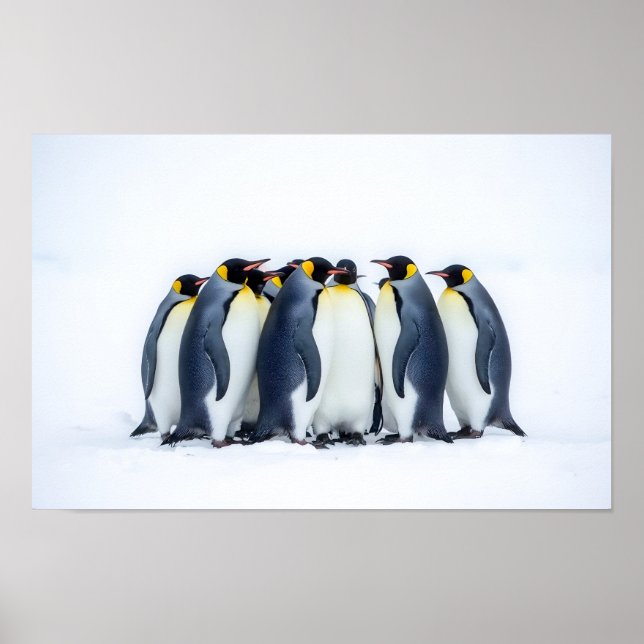 Poster Grupo de Pinguins (Frente)