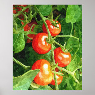 Pôster Grupo dos tomates