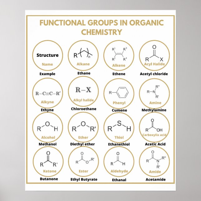 Poster Grupos funcionais de química (Frente)