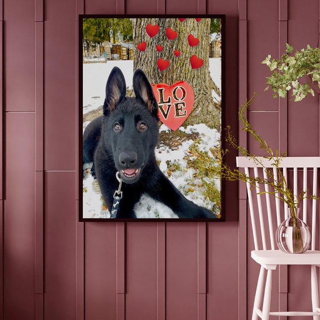 Poster GSD Preto com Corações e Grande Namorados de Amor (Criador carregado)