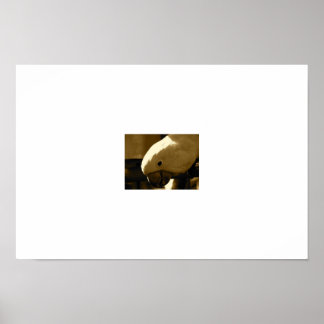 Pôster Guarda-chuvas